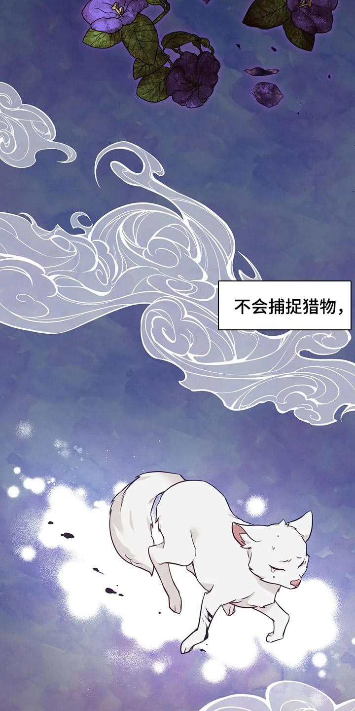 养虎为患漫画,第28章：什么味道都闻不到1图