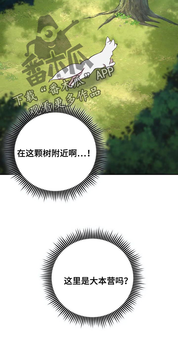 养虎为患完整版中文漫画,第26章：大本营4图