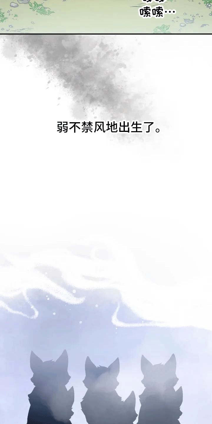 养虎为患by大江流全文阅读笔趣阁漫画,第2章：抛弃4图