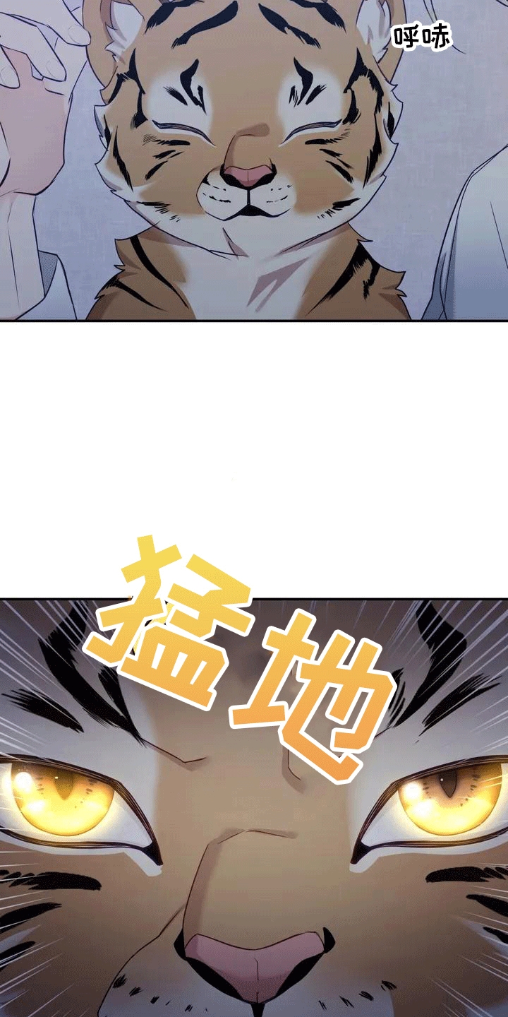 养虎为患漫画,第4章：老虎4图