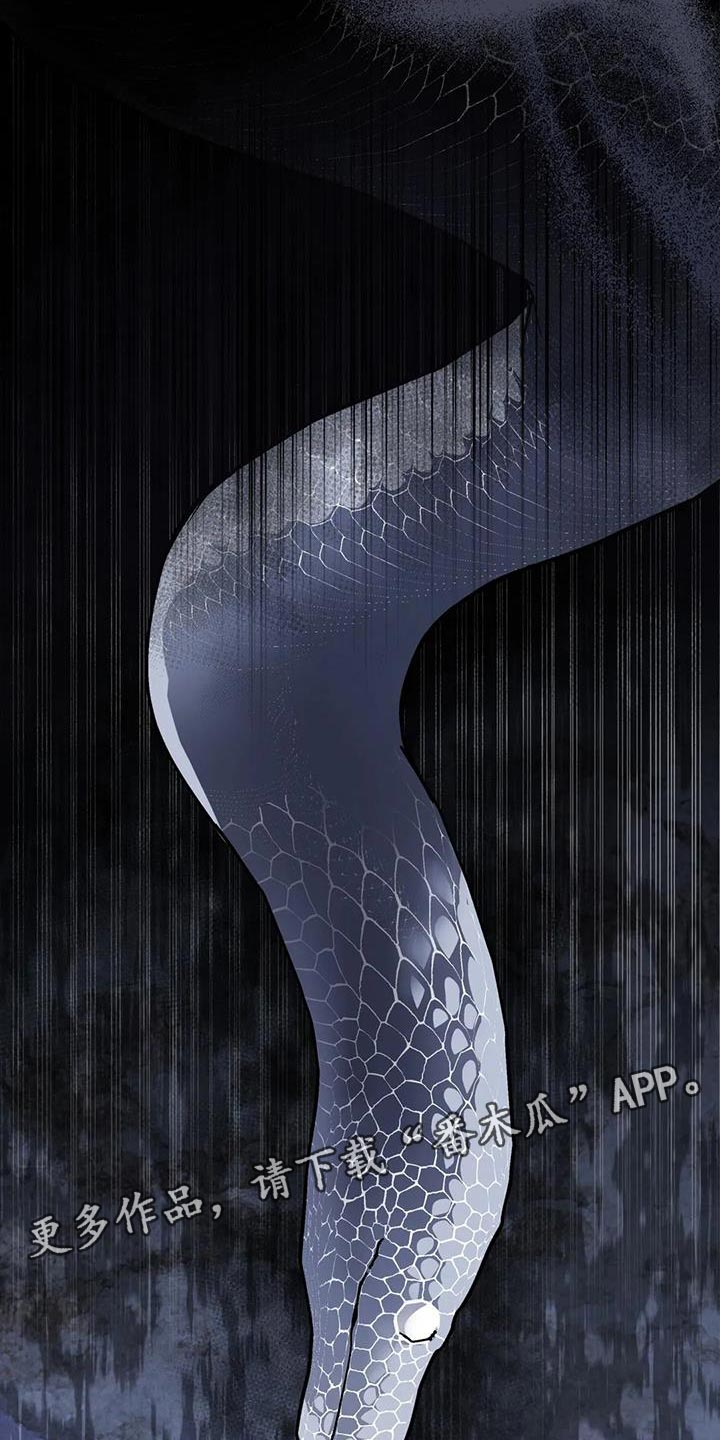 养虎为患后患无穷是什么意思漫画,第14章：白蛇2图