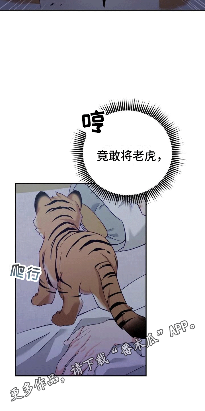 养虎为患漫画,第4章：老虎5图
