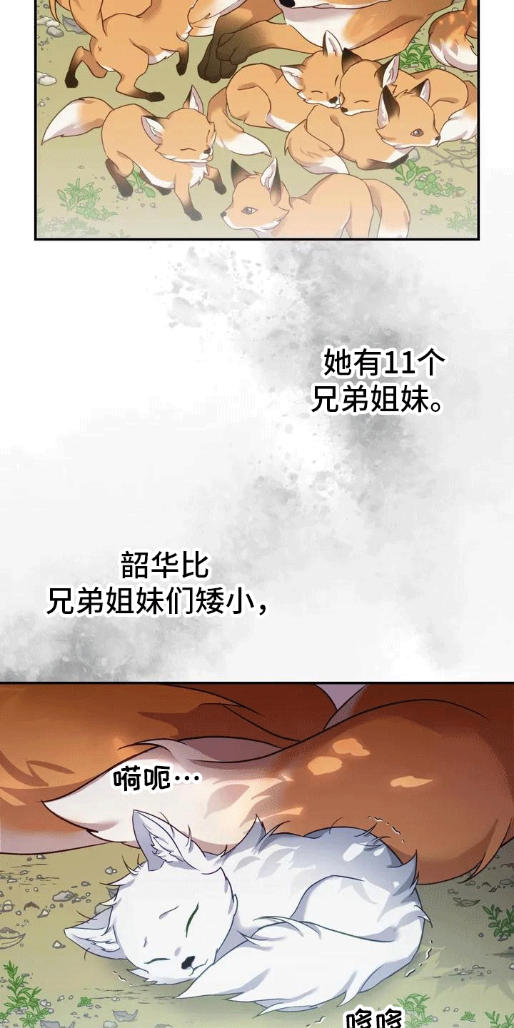 养虎为患by大江流全文阅读笔趣阁漫画,第2章：抛弃3图