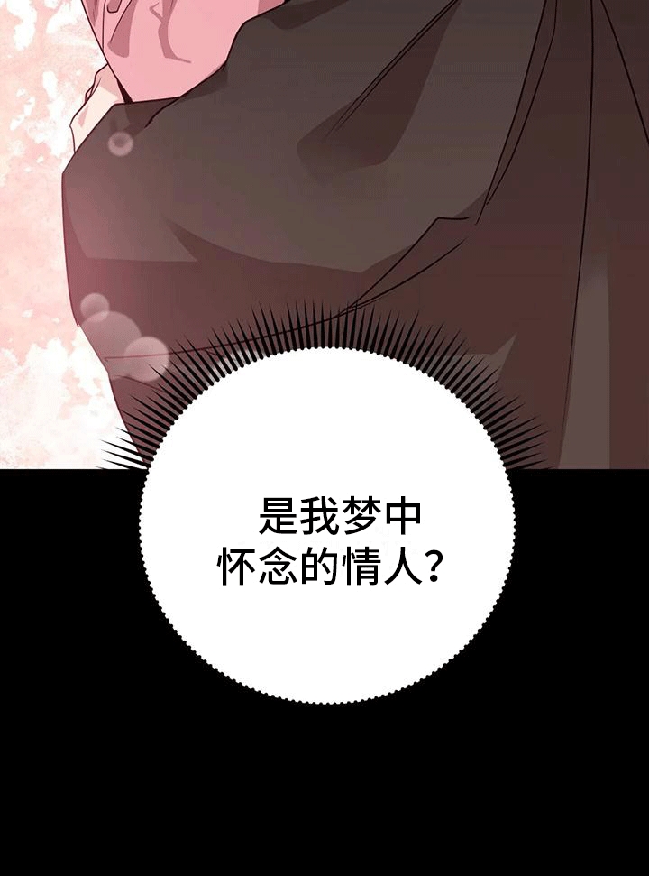 养虎为患是谁漫画,第11章：梦中5图