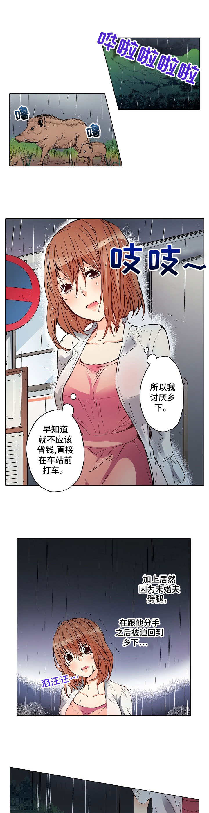 乡野大头漫画,第1章：雨夜来客1图
