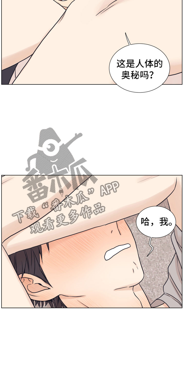 上司不发工资该怎么投诉漫画,第12章：奥秘3图