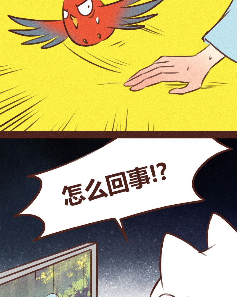 神兽退散大师兄凤凰文漫画,第95章：5图