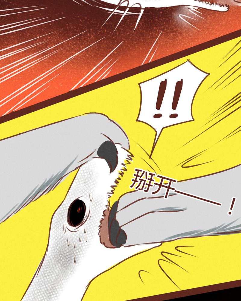 神兽退散漫画正版购买漫画,第69章：1图