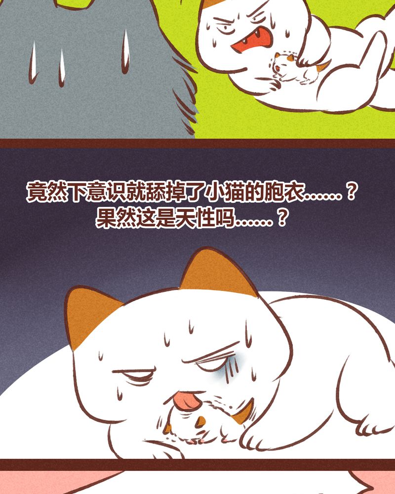 神兽退散在线阅读免费漫画,第63章：4图