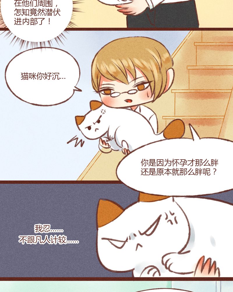 神兽退散大师兄凤凰文漫画,第19章：5图