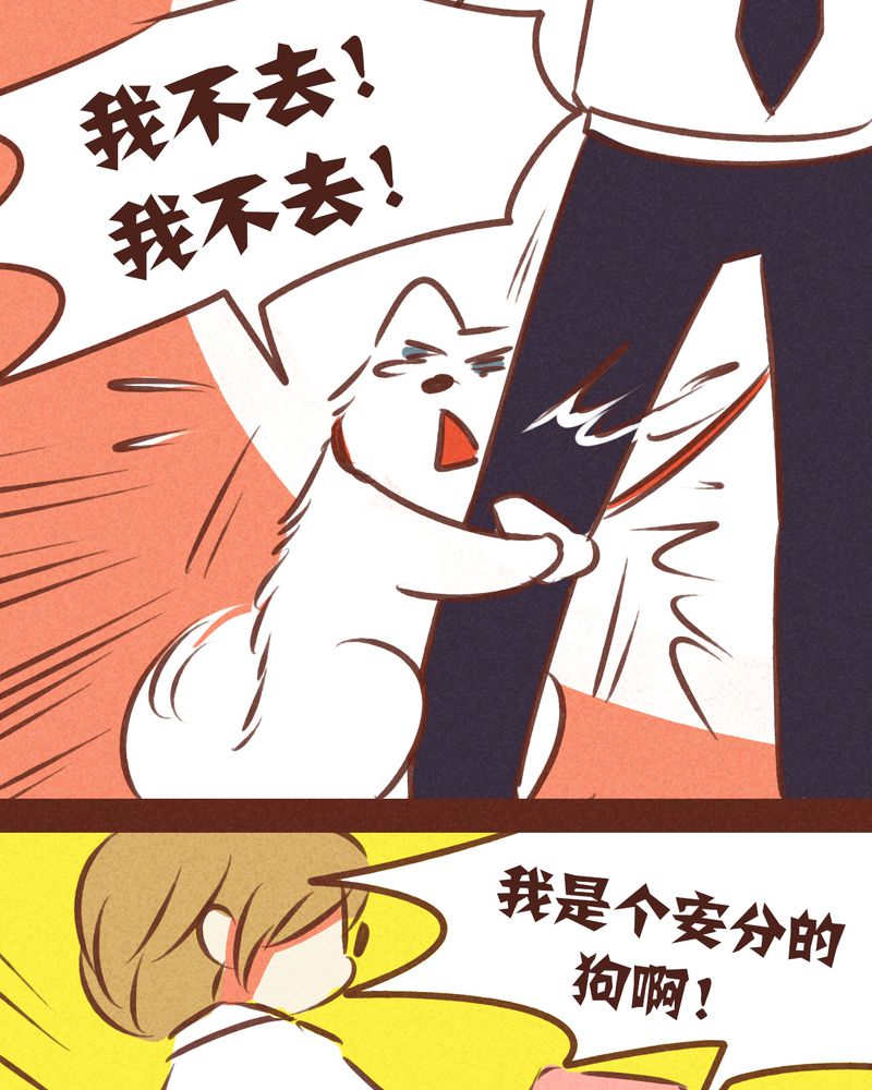 神兽退散漫画正版购买漫画,第74章：5图