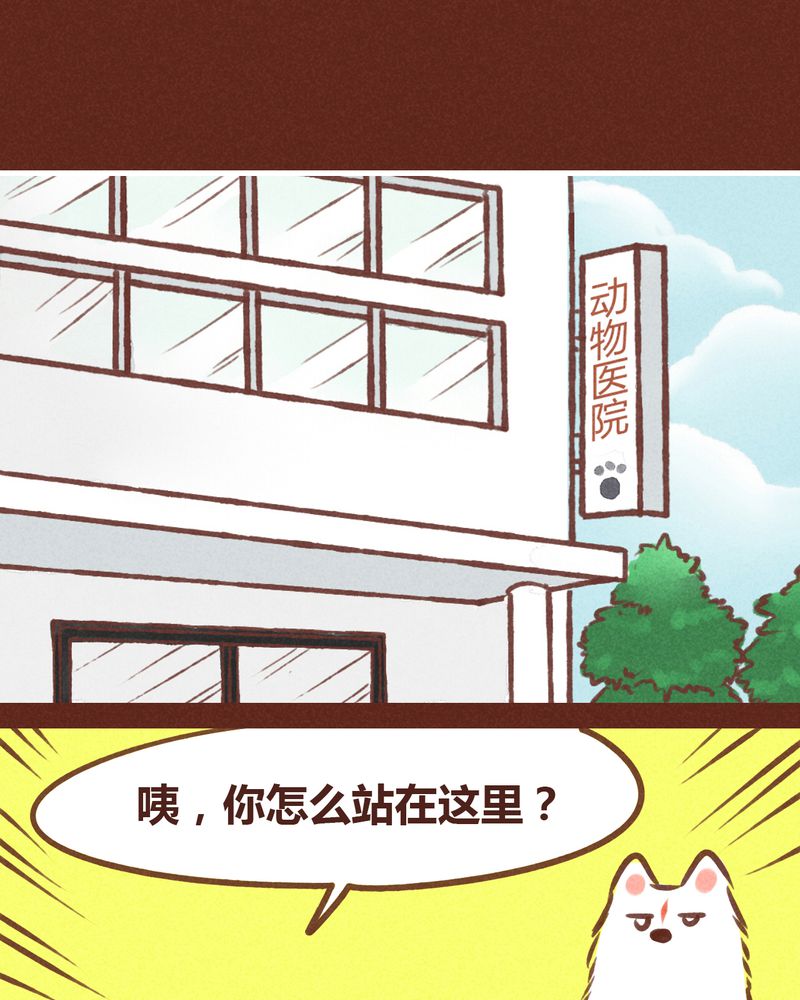 神兽退散漫画正版购买漫画,第74章：1图