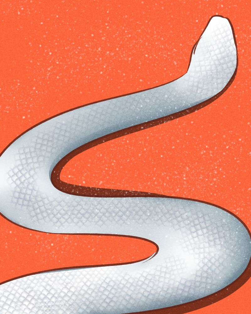 神兽退散烛龙漫画,第67章：2图