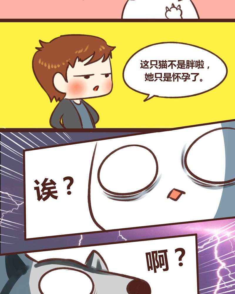 神兽养成记漫画,第17章：3图