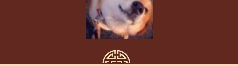 神兽退散免费全集阅读漫画,第19章：2图