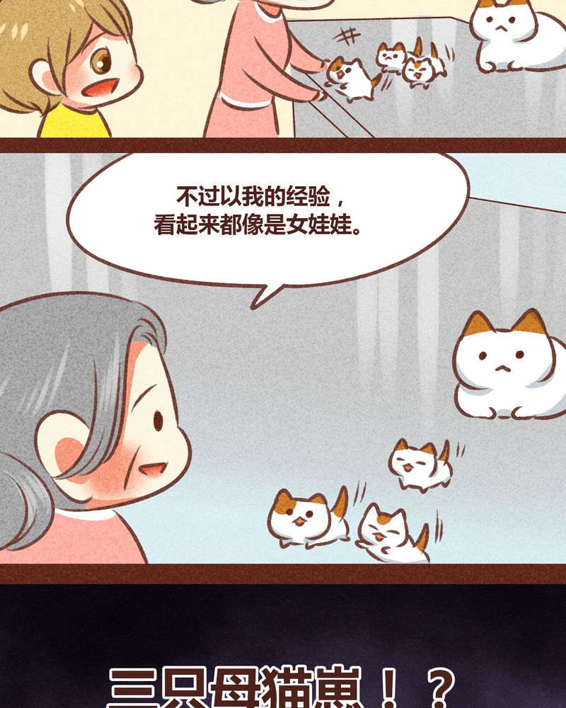 神兽退散漫画,第78章：1图