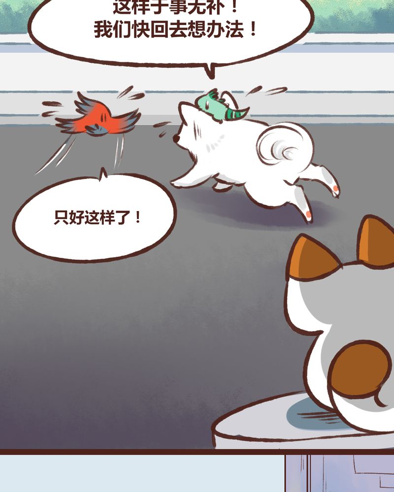 神兽养成记漫画,第16章：4图