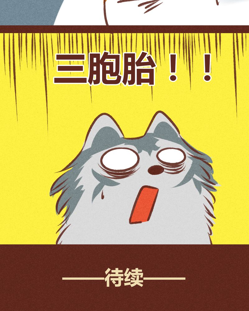 神兽退散在线阅读免费漫画,第63章：1图
