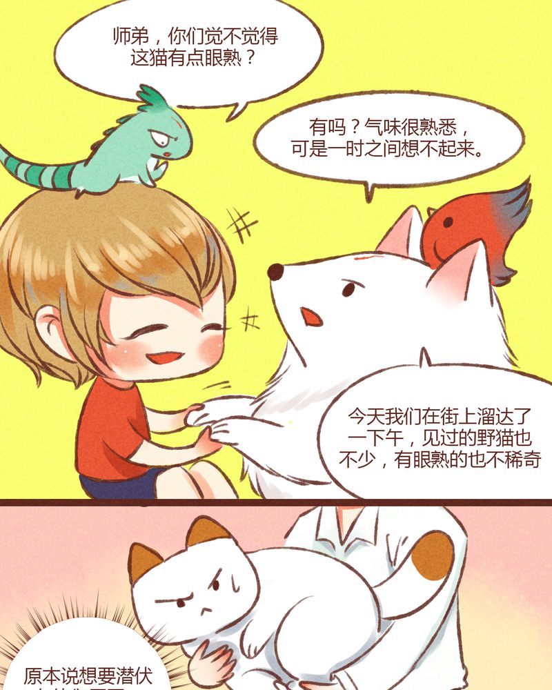 神兽退散大师兄凤凰文漫画,第19章：4图