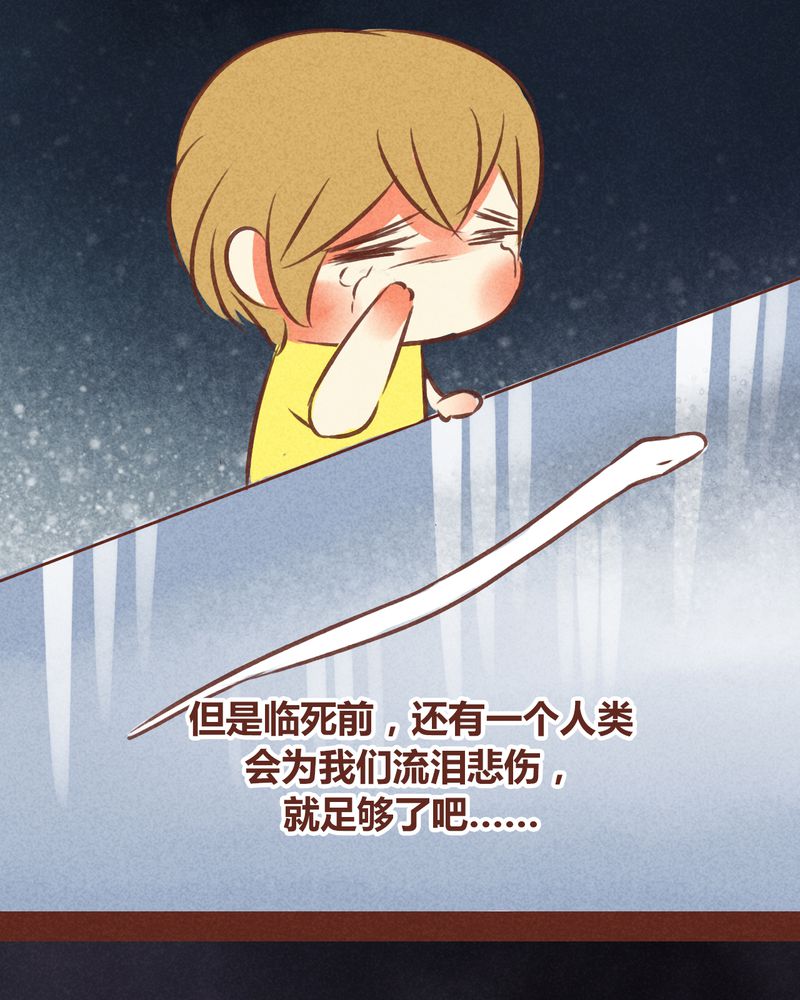 神兽养成记漫画,第72章：4图