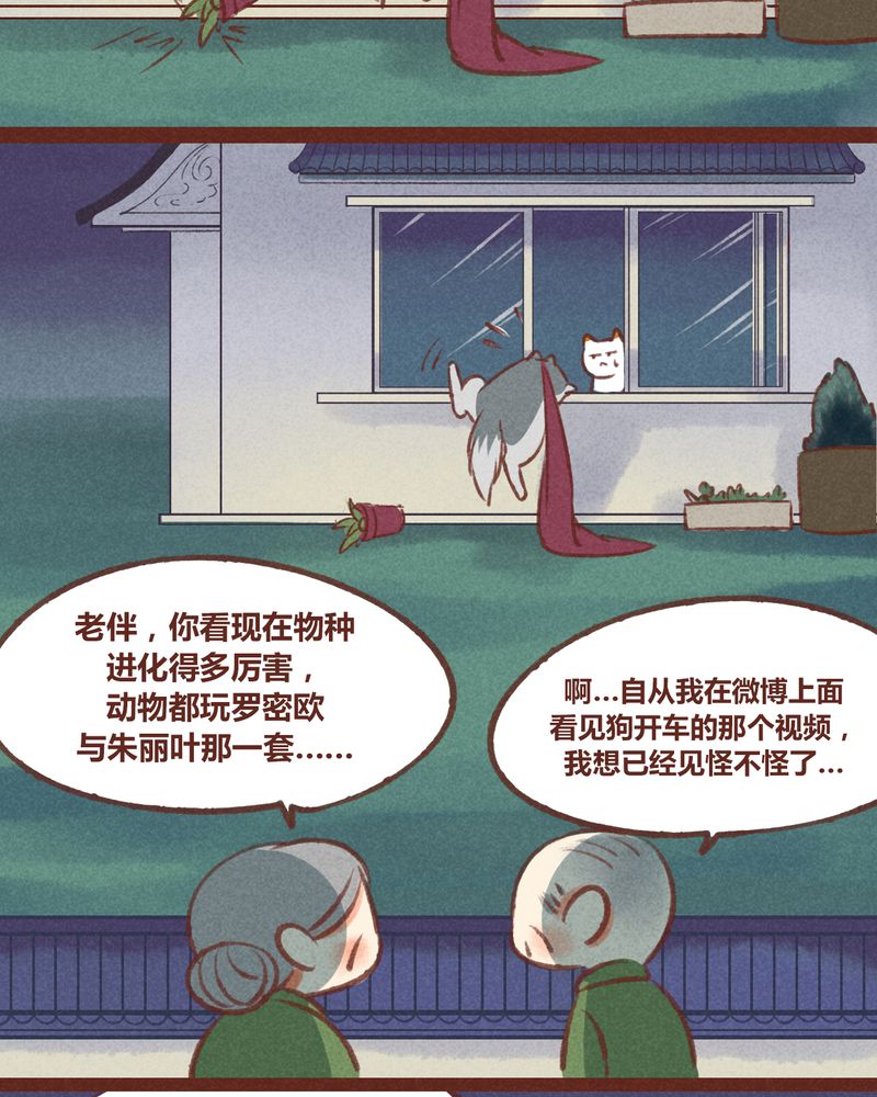 神兽退散大师兄凤凰文漫画,第24章：1图