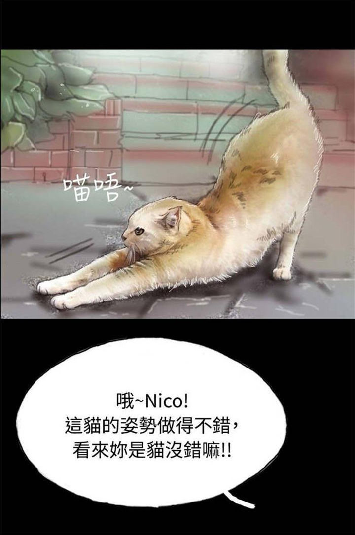 特种教师漫画,第5章：收养小猫1图