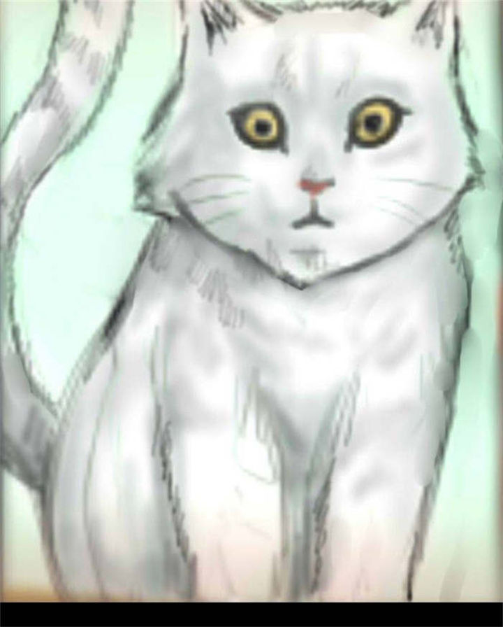 特种教师听书漫画,第14章：花牌1图