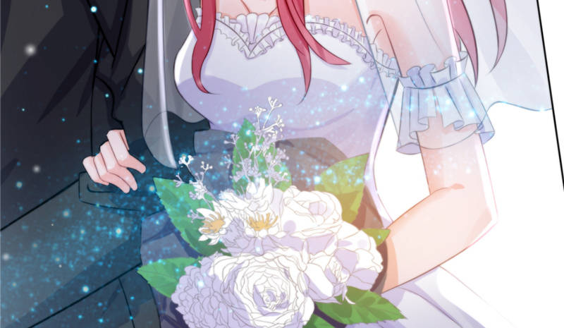 宠妻狂魔漫画,第14章：今天开始是夫妻1图