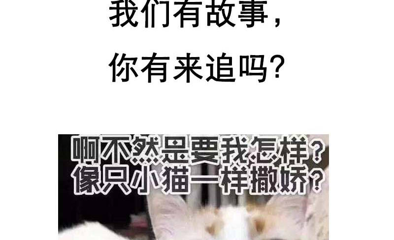 宠婚来袭动漫第二季全集漫画,第14章：今天开始是夫妻3图