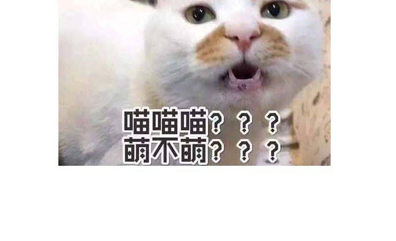 宠婚来袭动漫第二季全集漫画,第14章：今天开始是夫妻4图