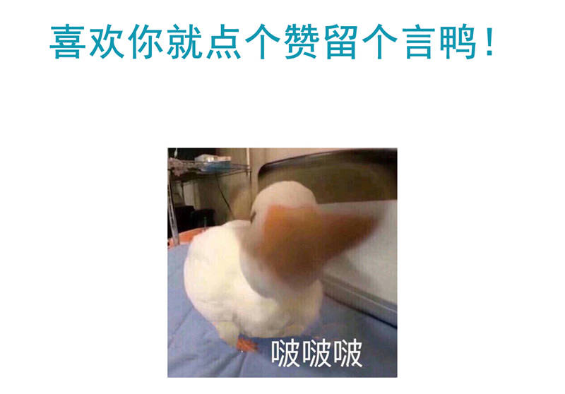 宠妻来袭免费阅读漫画免费漫画,第11章：婚前协议规则5图