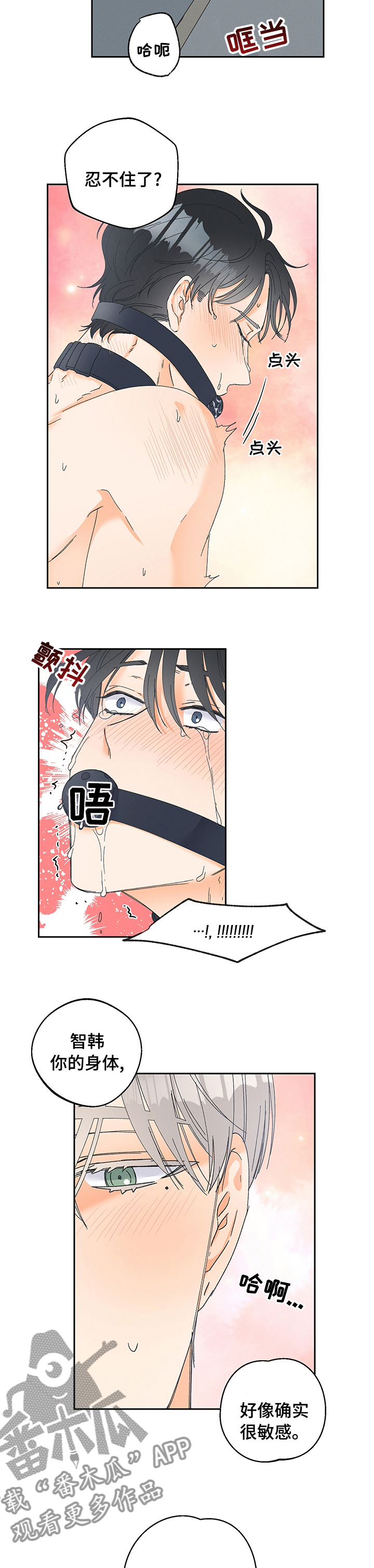 暗恋测试员漫画,第86章：【番外】下次用什么呢（完结）4图