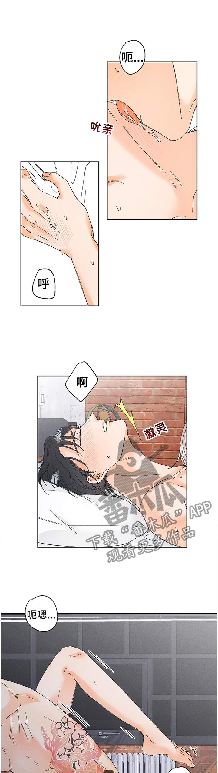 暗恋测试员漫画,第71章：别后悔噢1图