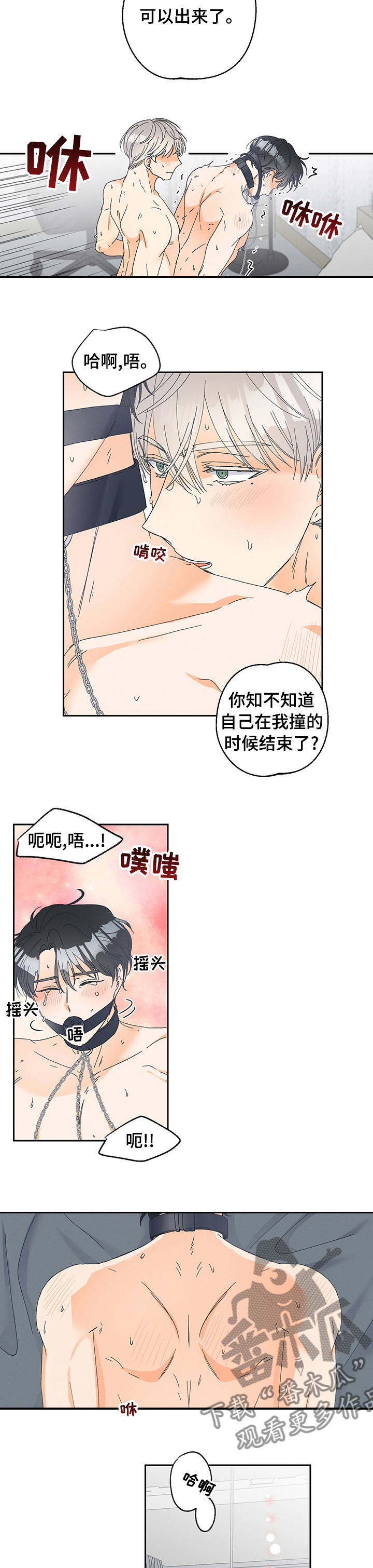 暗恋测试员漫画,第86章：【番外】下次用什么呢（完结）5图