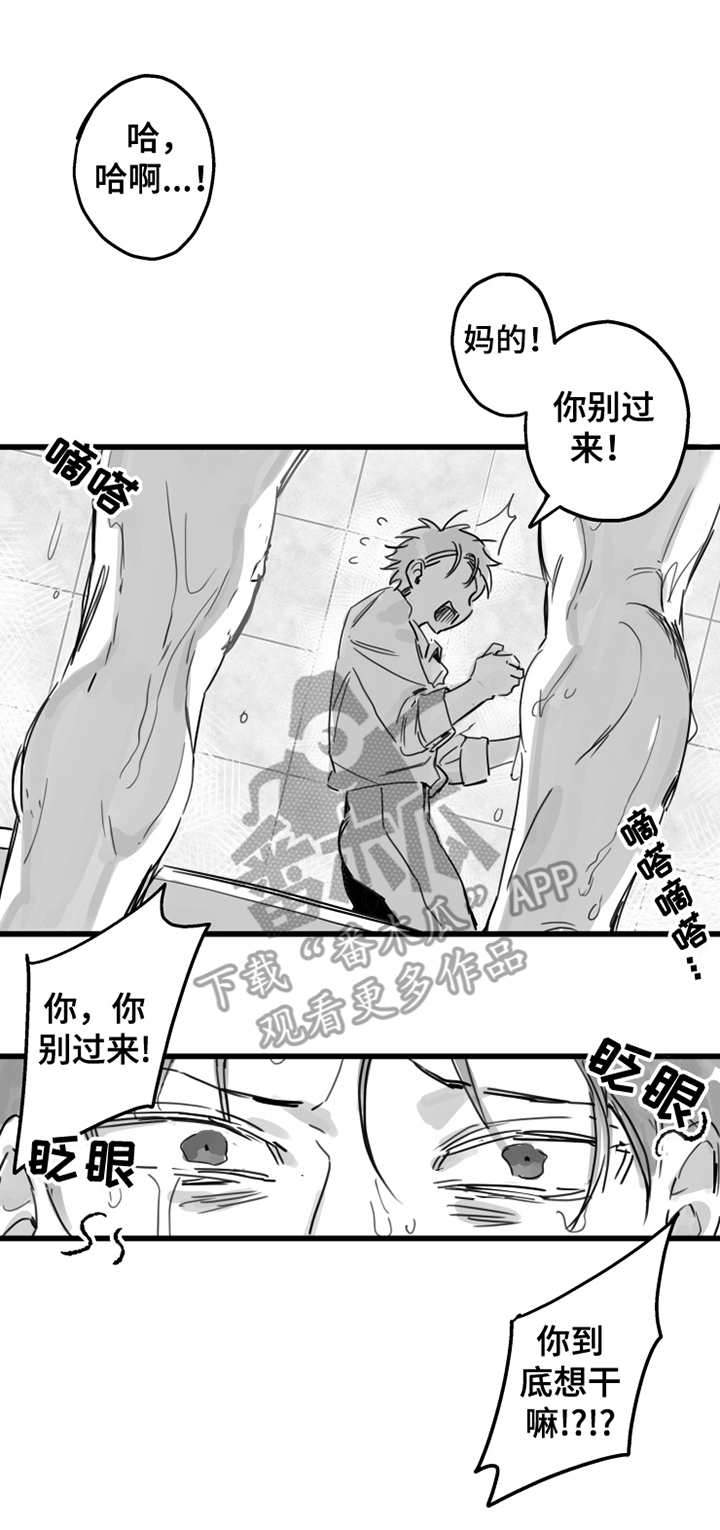 另类养成漫画,第2章：不速之客2图