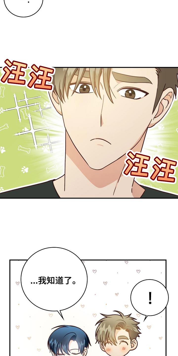 天降极品豪婿漫画,第84章：我送你3图