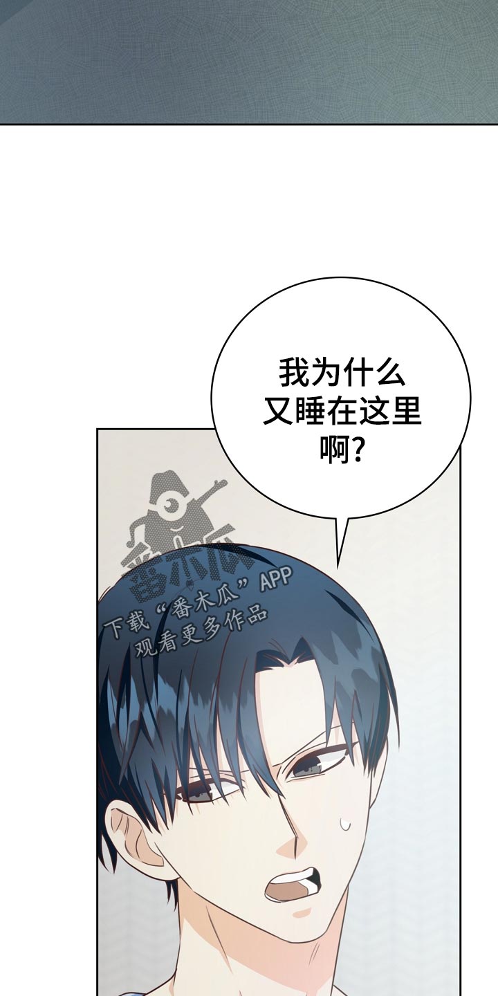 天降横祸到底有多可怕漫画,第29章：可惜2图