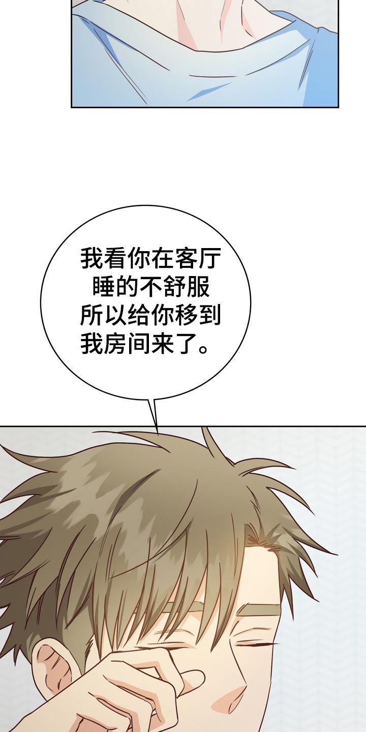 天降横祸到底有多可怕漫画,第29章：可惜3图