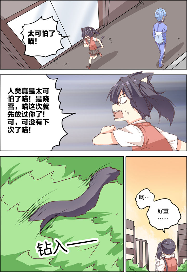 为什么后宫男主的我跑到了百合漫画在哪里看漫画,第13章：1图