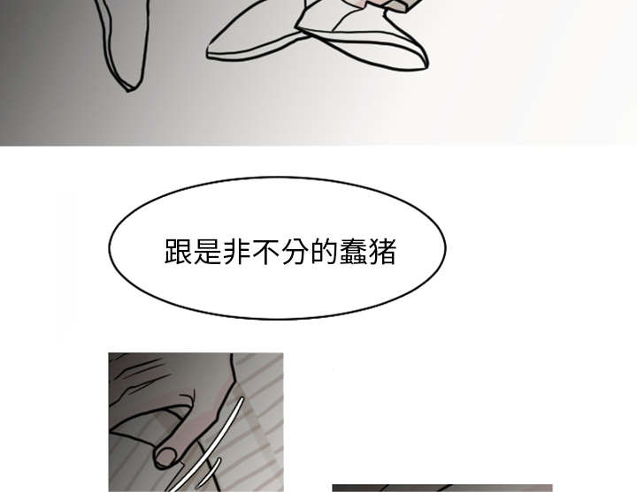 再见金医生漫画,第38章：搬弄是非5图
