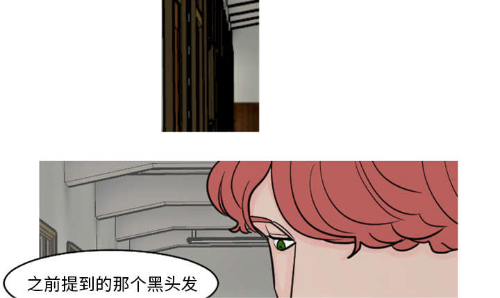再见金医生漫画,第37章：非常有趣的事情3图
