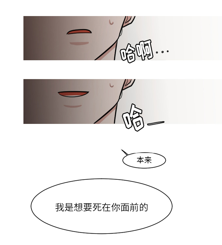 再见金医生漫画,第44章：吓到啦1图