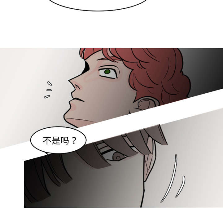 再见金医生漫画,第38章：搬弄是非2图
