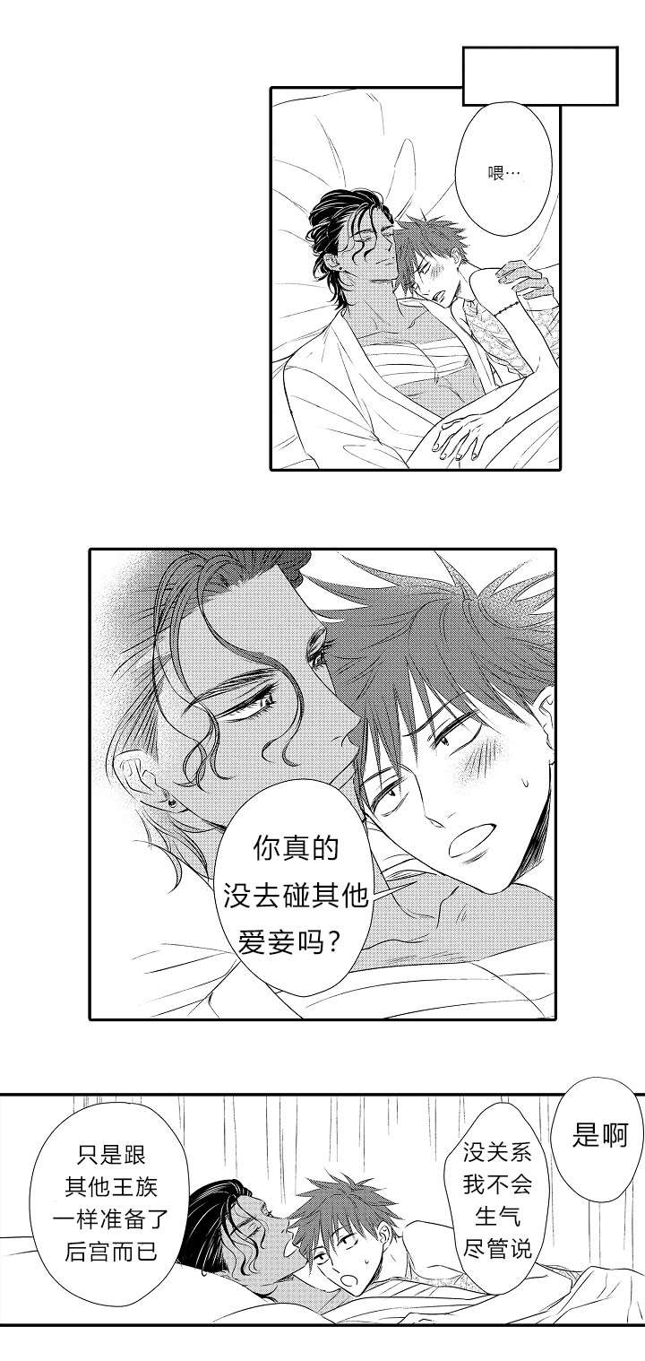 皇家婚约2漫画,第16章：表白心迹1图