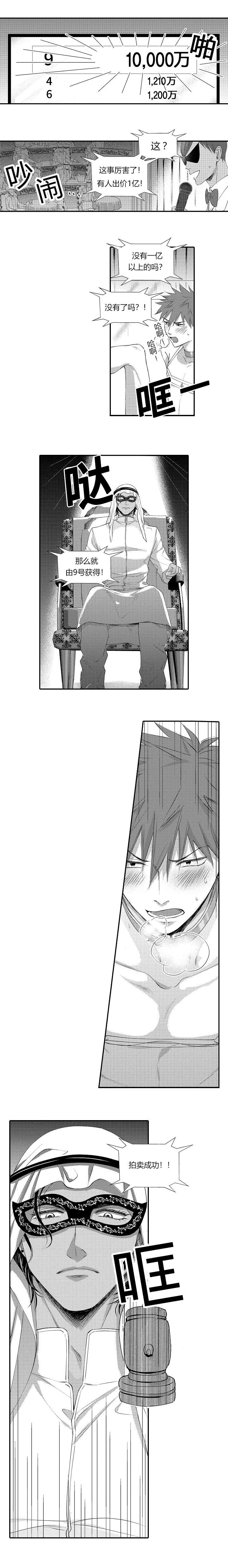 皇家协议漫画,第2章：被拍卖了3图