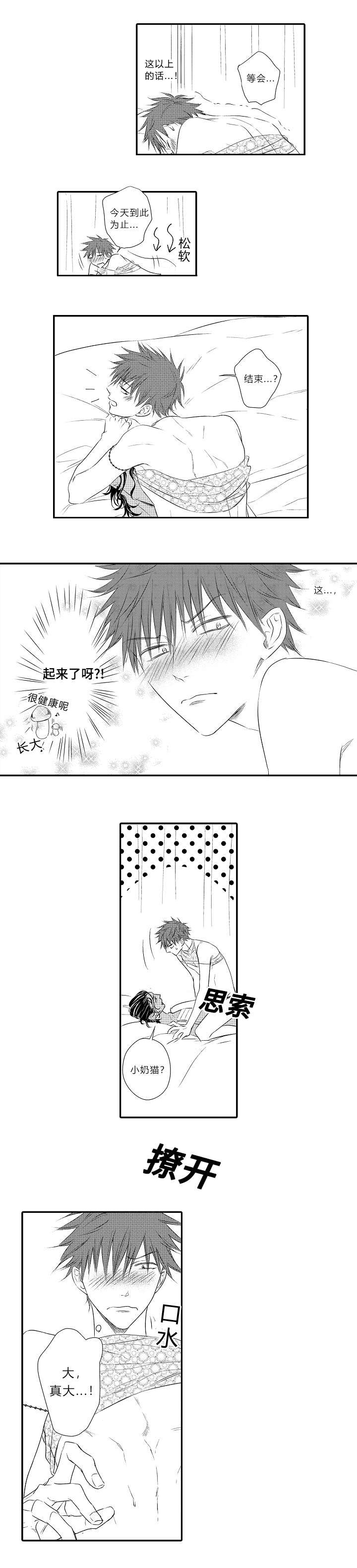 皇家celt漫画,第15章：哥哥回来了4图