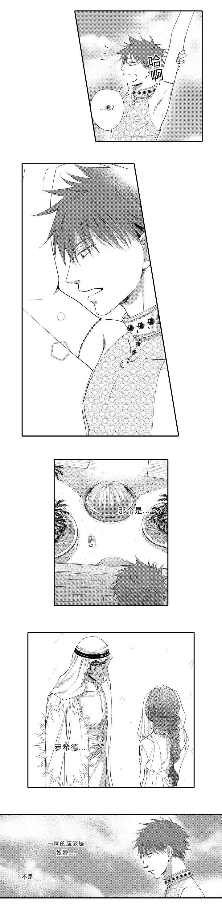 皇家协议漫画,第10章：别的爱妾5图