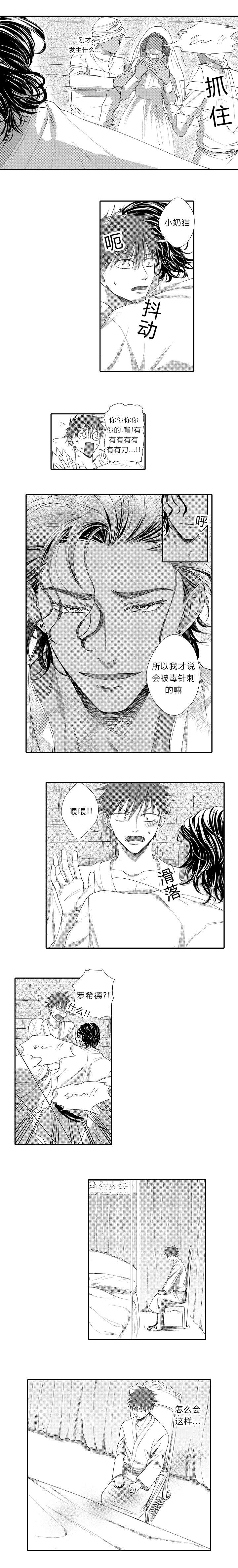 皇家celt漫画,第13章：被刺伤4图