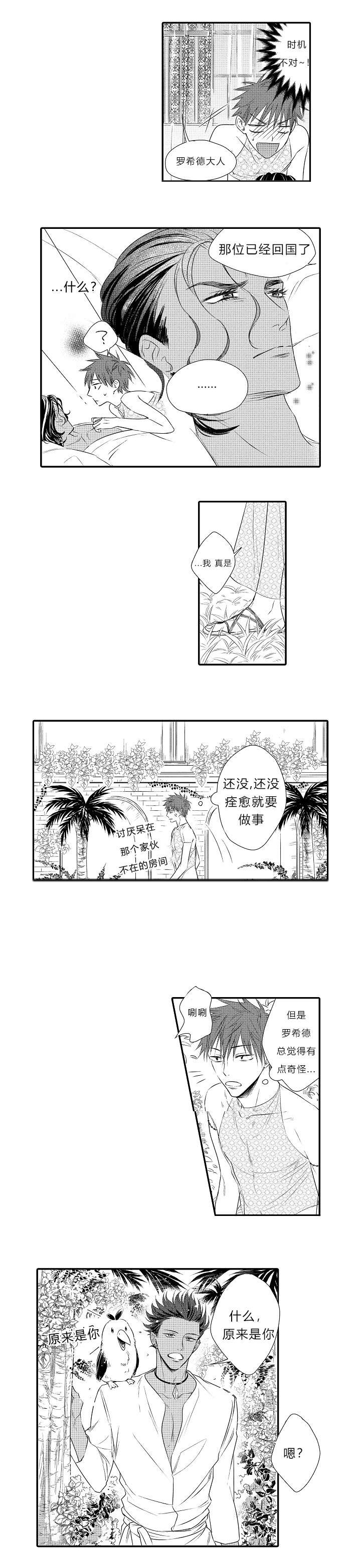 皇家婚约2漫画,第16章：表白心迹5图