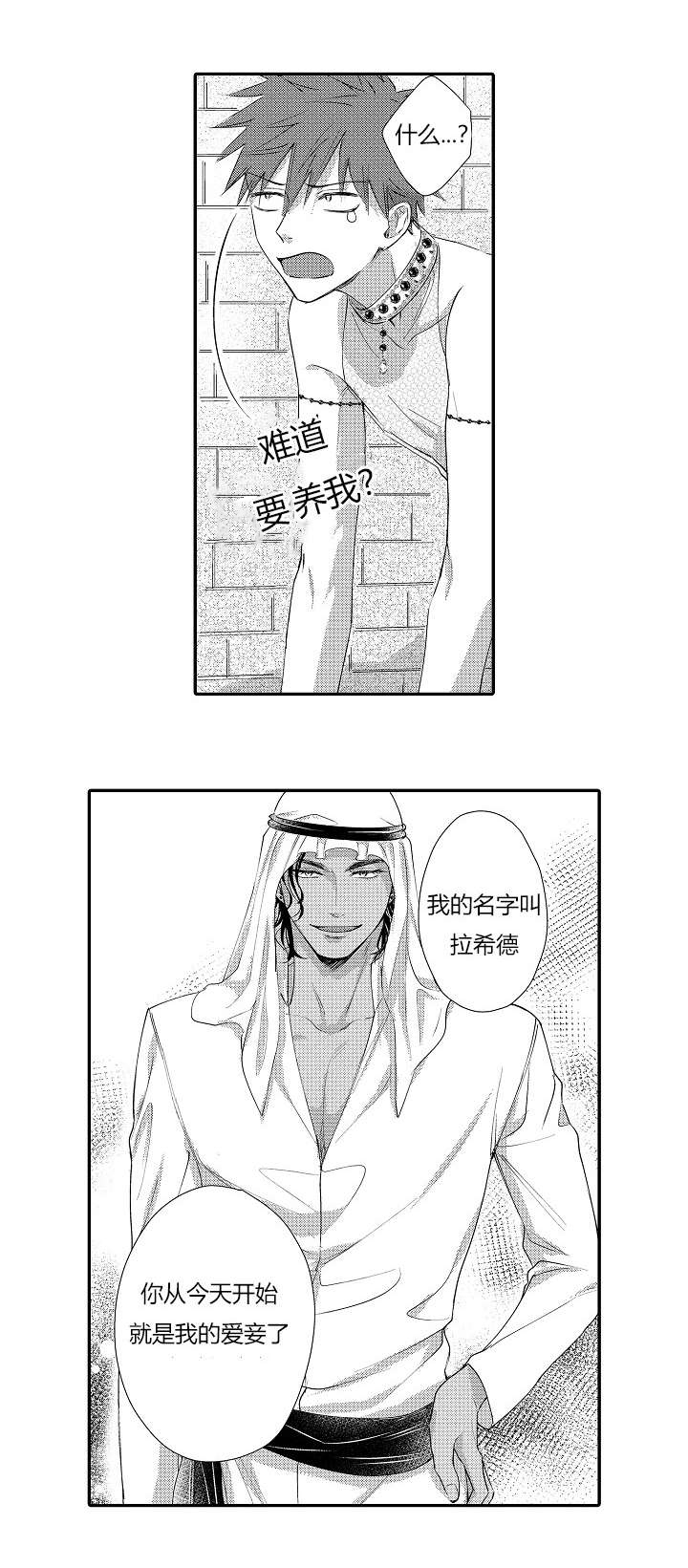 皇家特许漫画,第3章：做我的爱妾1图